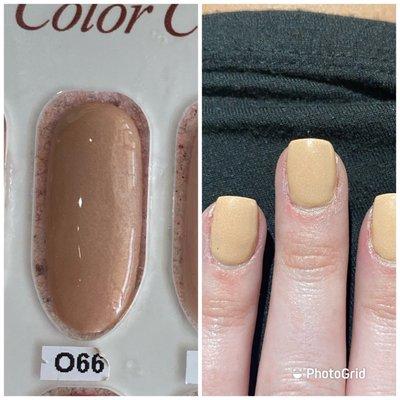 Color I picked vs. color I got.