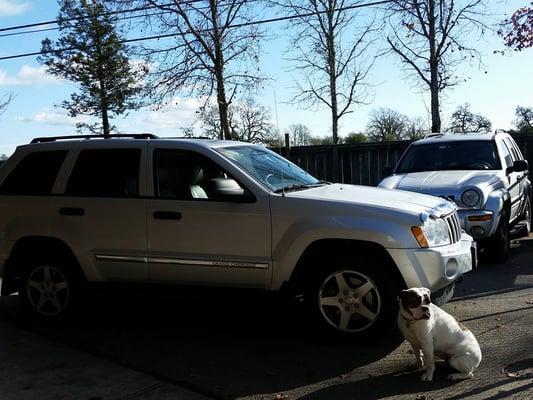 Whether it's a Grand Cherokee, Laredo, Rubicon, or Wrangler, we will help you take care of your Jeep.