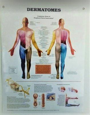 Finding the root cause of your pain & eliminating