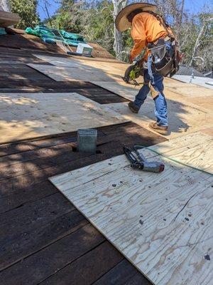 Laying ply sheathing.