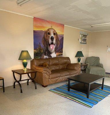 Inside the kennel were the dogs get to stay and play and sleep