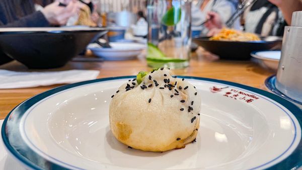 pan fried pork bun