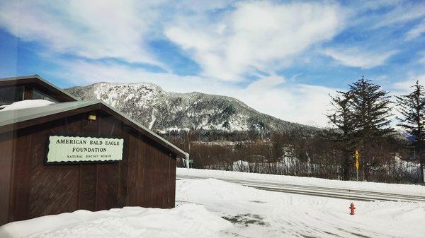 The American Bald Eagle Foundation in winter