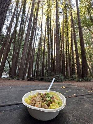 Tofu yellow curry