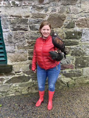 Ashford Castle's Falconry School - Ireland