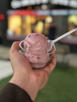 Black Raspberry Chip