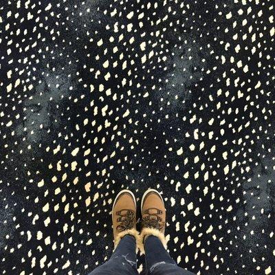 This antelope design by Stark Studio Rugs almost looks like galaxy of stars.