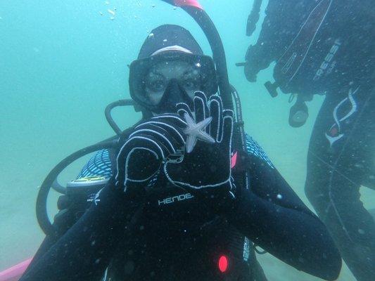 Sand star, scuba diver, La Jolla Canyon