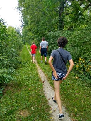 A walk in the Illinois woods with the fam' before the next leg of our roadtrip.