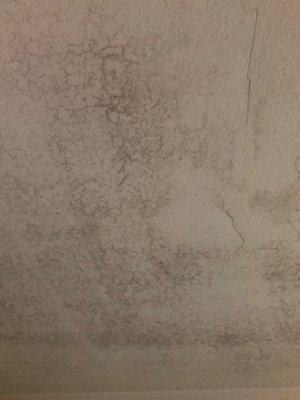 Mold on ceiling