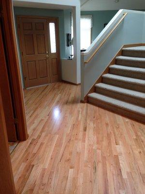 Red Oak Natural - no stain... semi - gloss finish