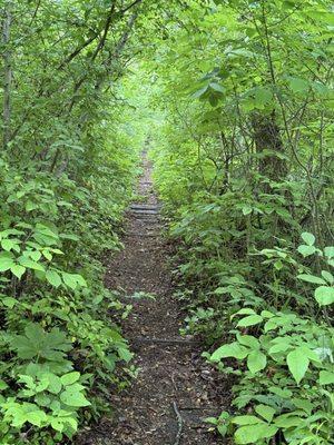 Path along former railway near Grist Mill