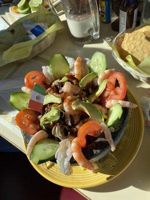 Molcajete Canguro