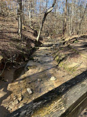 The creek running through the reserve