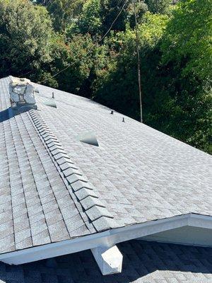 Rounded dormers on our Culver City project.