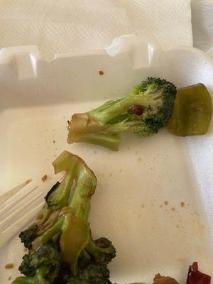 Caterpillars in my Beef with Broccoli