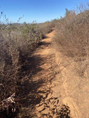 One of the trails