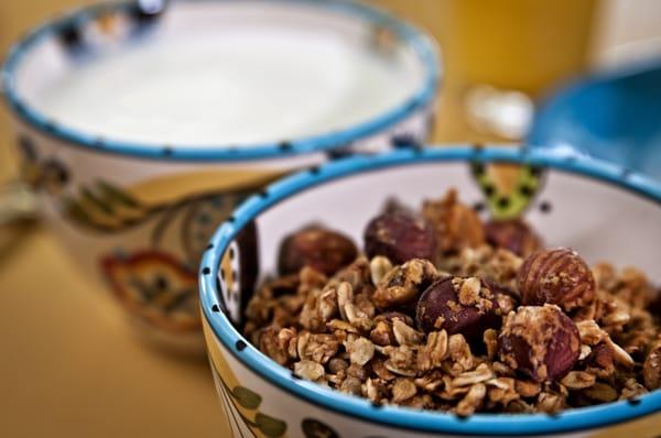 Homemade yogurt and granola