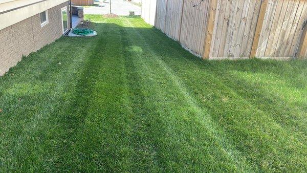 Blue Green Lawn & Landscape