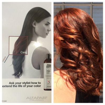 Alfaparf color-amazing reds- by Nancy