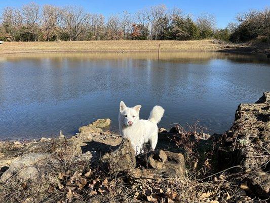 Ghost in Stillwater