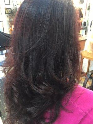 Haircut & dark burgundy coloring from Meyda