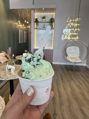 Dulce de leche and mint chocolate chip