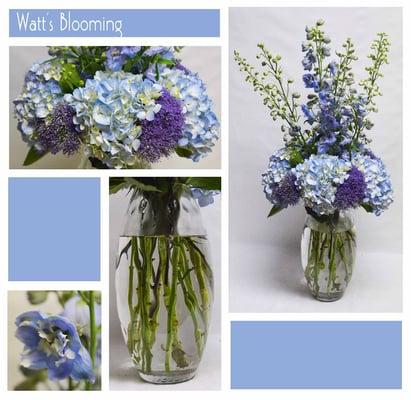 Delphinium and Hydrangeas