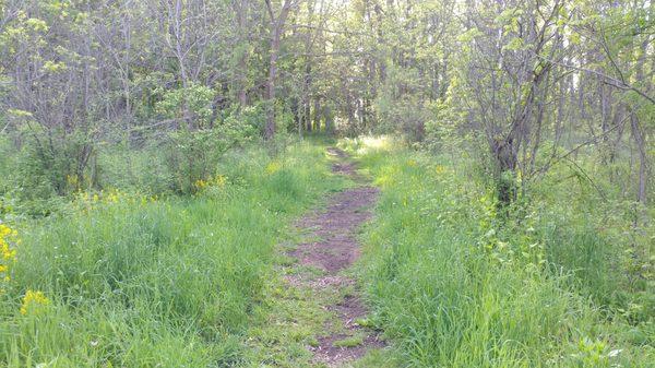 Woodland Park and Nature Preserve, Battle Creek MI