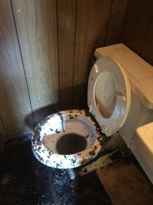 Sewage Overflow due to a clogged in toilet.