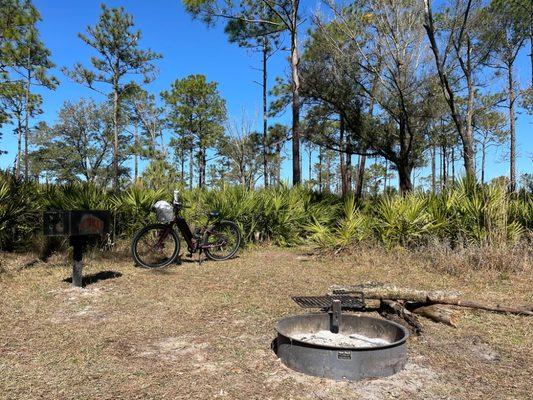 Camping along the Starkey wilderness trail