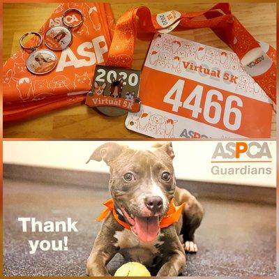 ASPCA Spay/Neuter Clinic