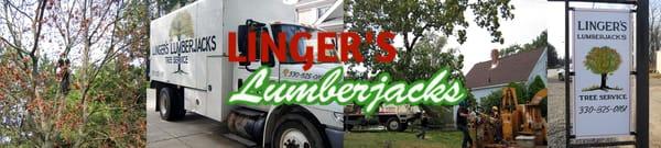 There's no tree too big or too small - Linger's Lumberjacks can take care of them all!