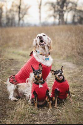 The Animal Hospital of Billings