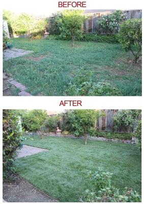 Before and after pic.  Second day of new lawn.  We love it!