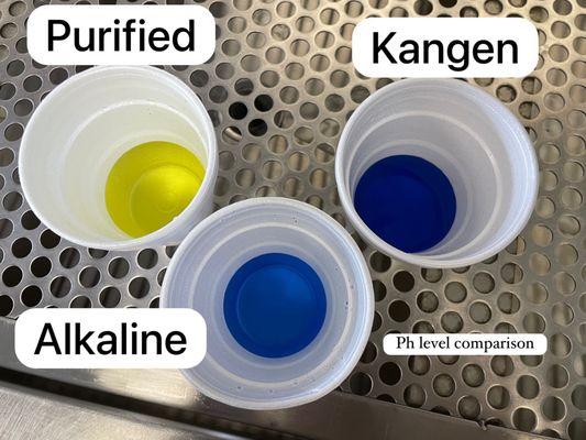 Comparing pH levels: highlighting the differences in acidity and alkalinity