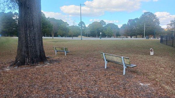 Open dog park from one corner