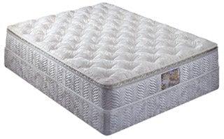 Softside Waterbed Mattress