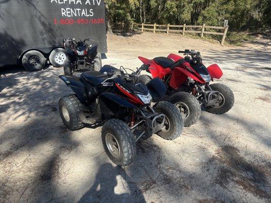 3 very well maintained trx250 no experience needed