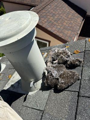 Bees nest inside roof vent cap