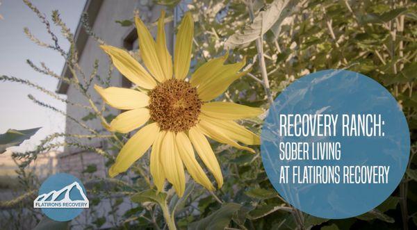 Flatirons Recovery - Boulder, Colorado Holistic Addiction and Mental Health Care