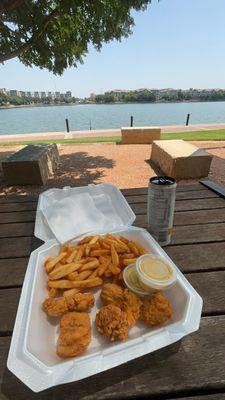 Chicken tenders and fries