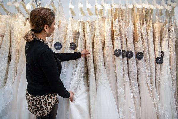 Bridal Couture of the Palm Beaches