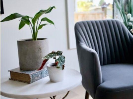 Calming office chair with side table plants and a book.