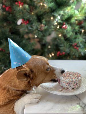 Honey Blueberry small birthday cake.