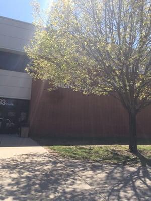 The trees in front of the school are in bloom today!