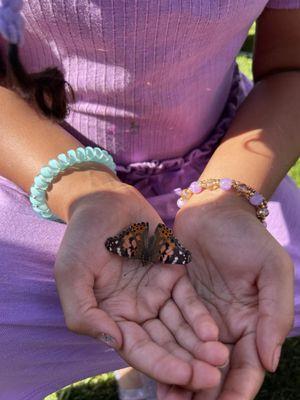 Butterfly release