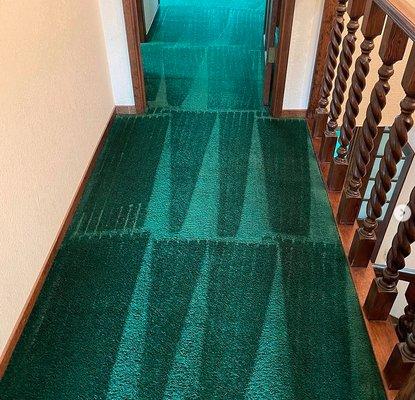 Excellent carpet cleaning services! Give us a call for a free quote.