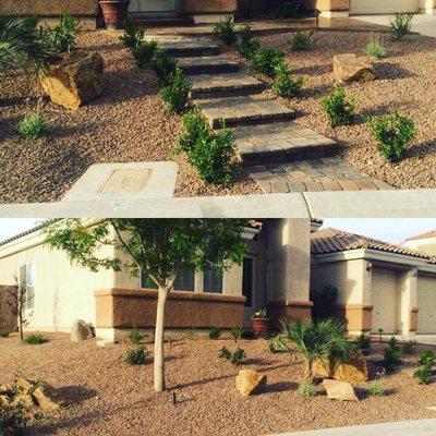 Desert landscaping is an increasing popular option Las Vegas residents are choosing.