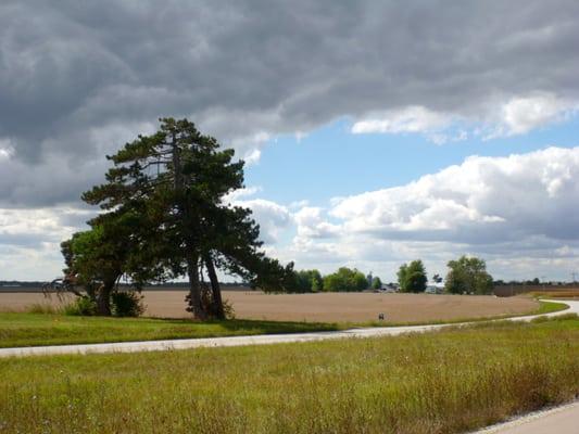 Typical rural scenery